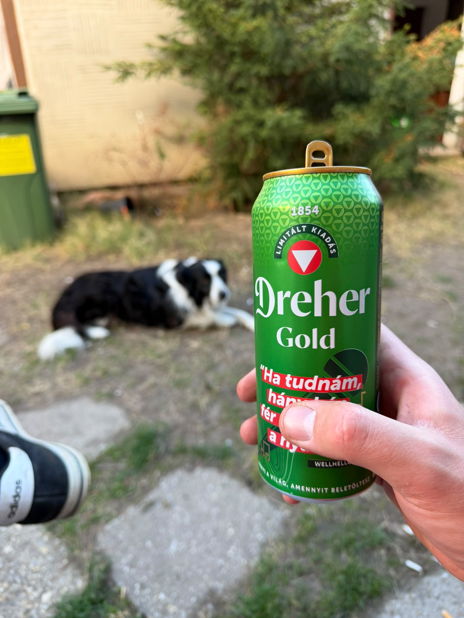 Beer #65400