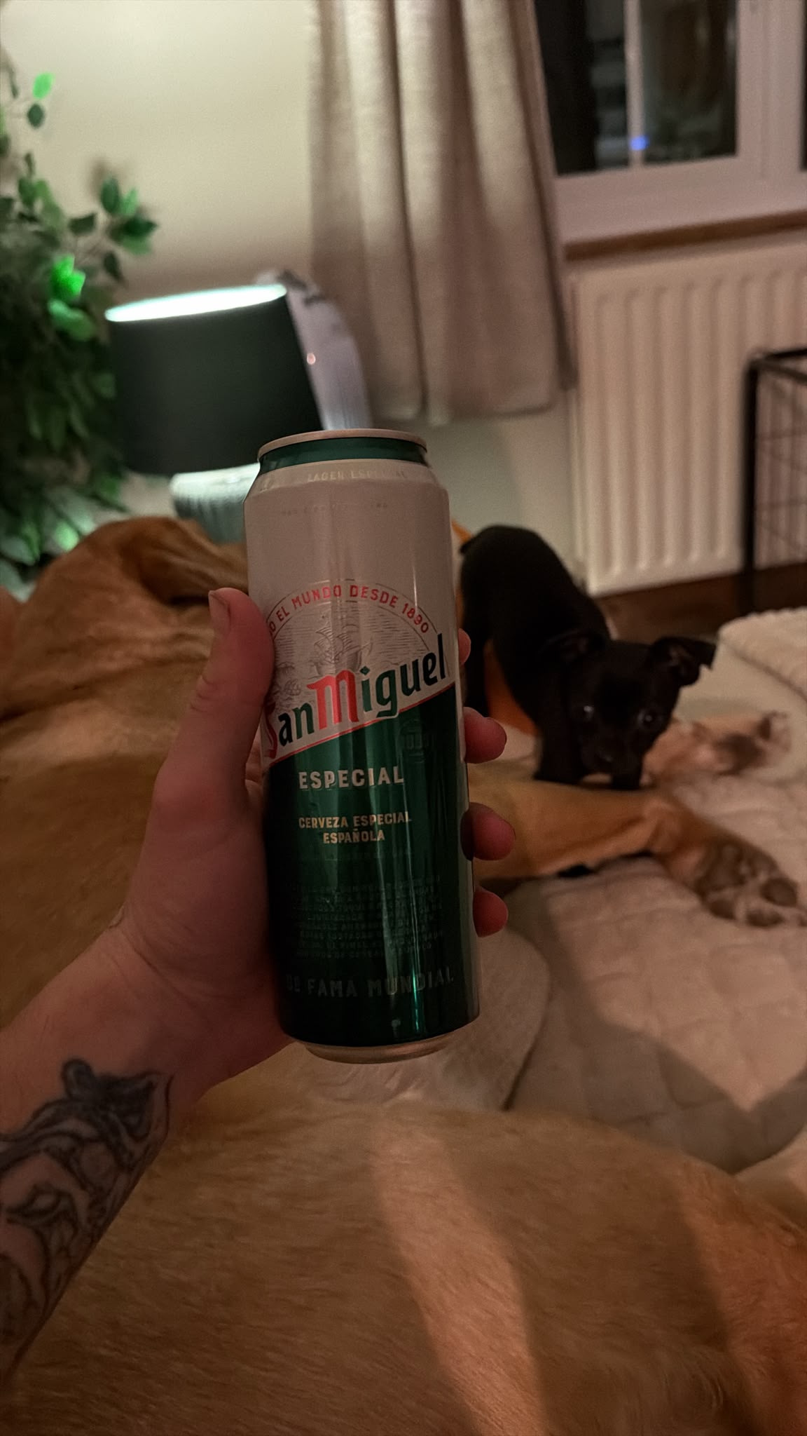 Beer #65579