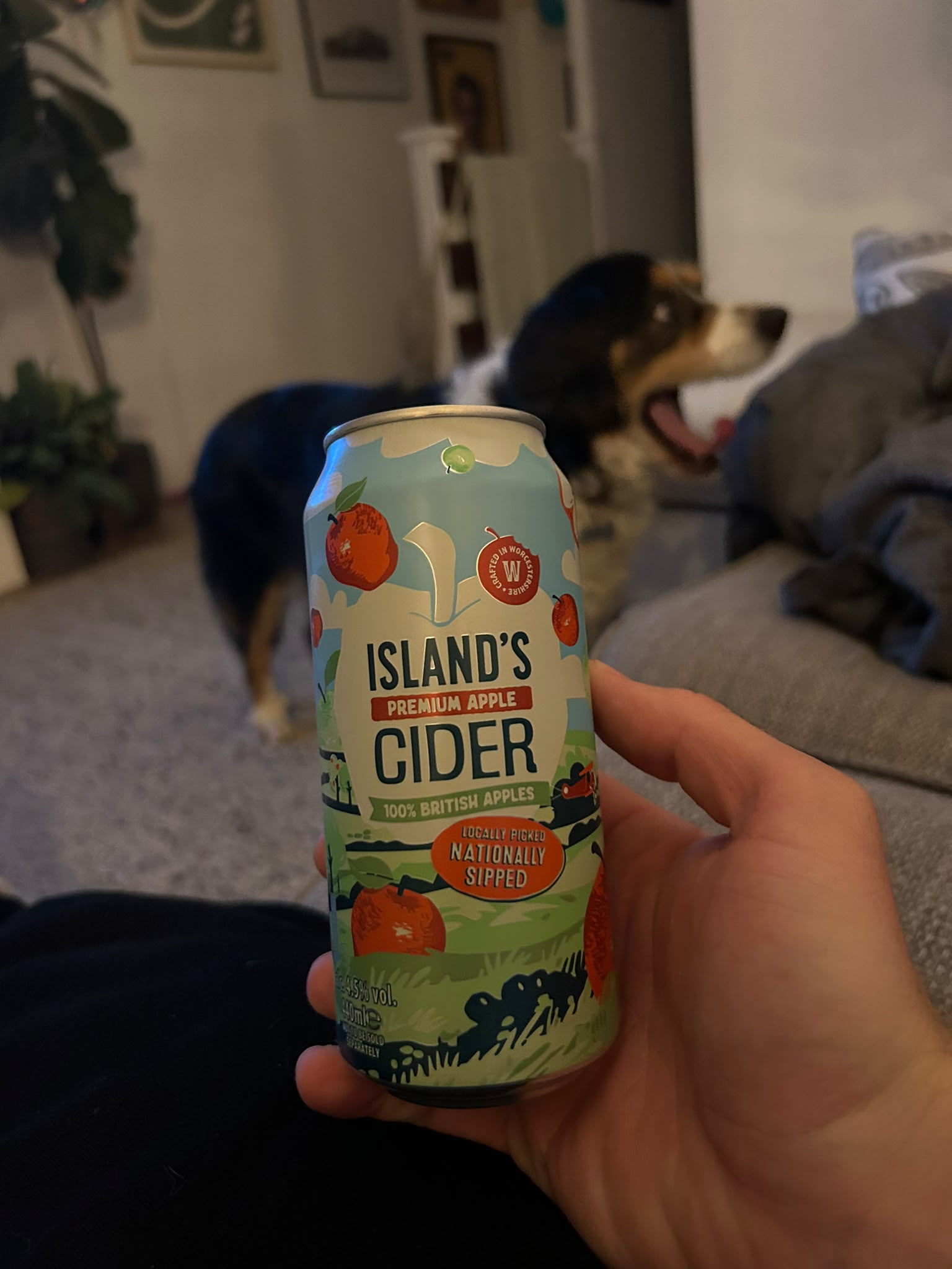 Beer #65719