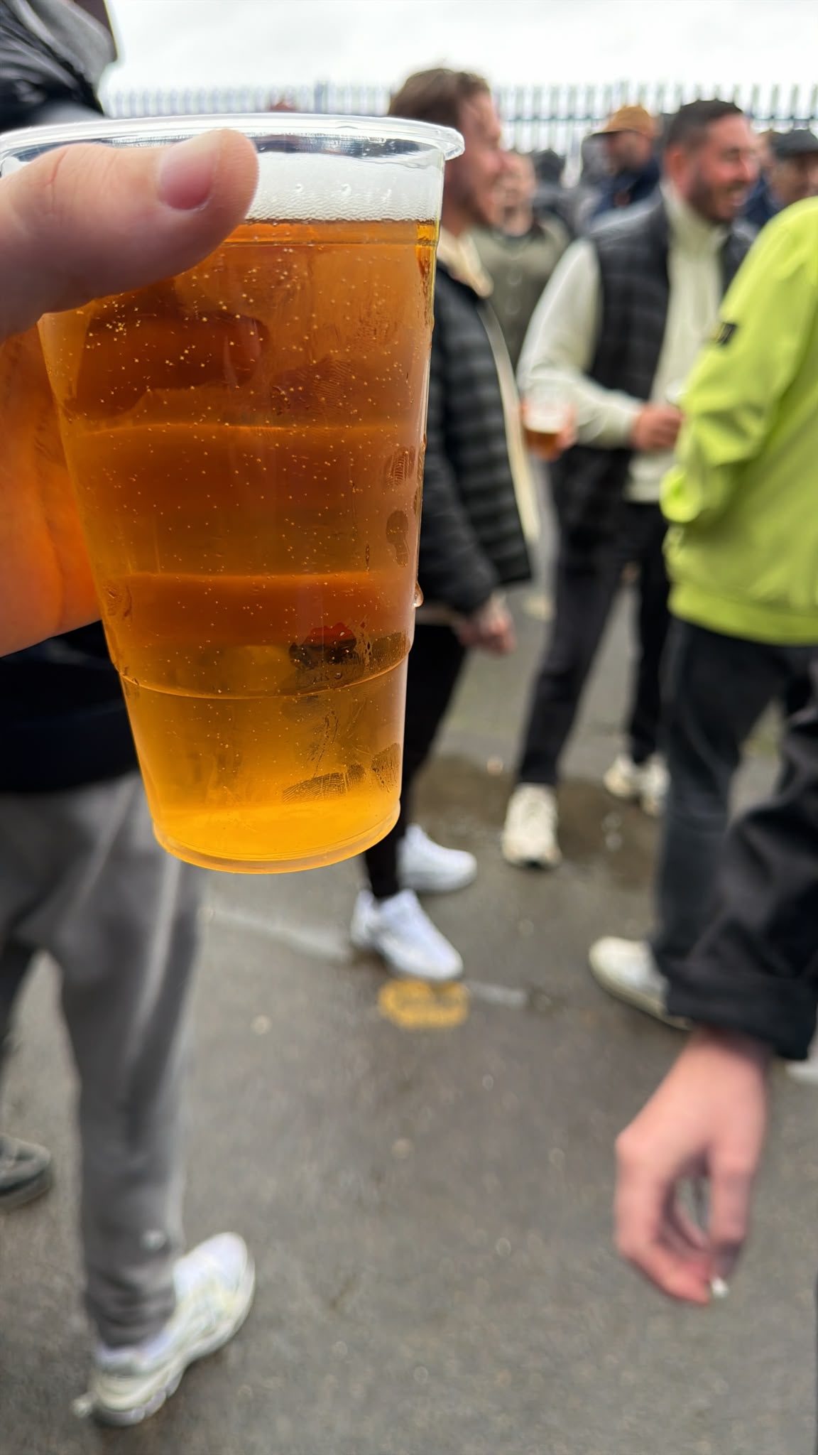 Beer #66100